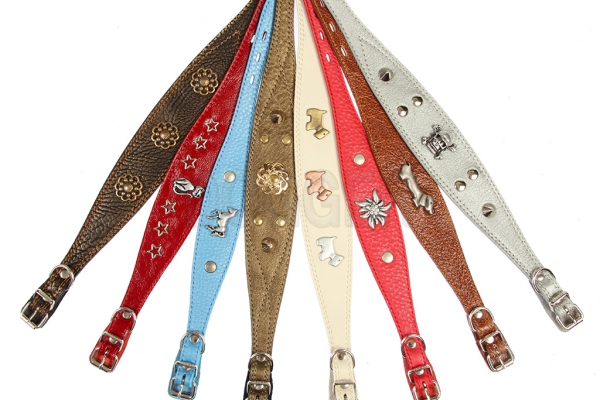 Collar 15 