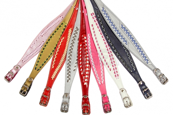 Collar 15 