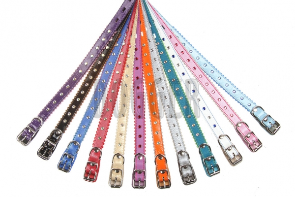 Collar 15 with rhinestones with accessories