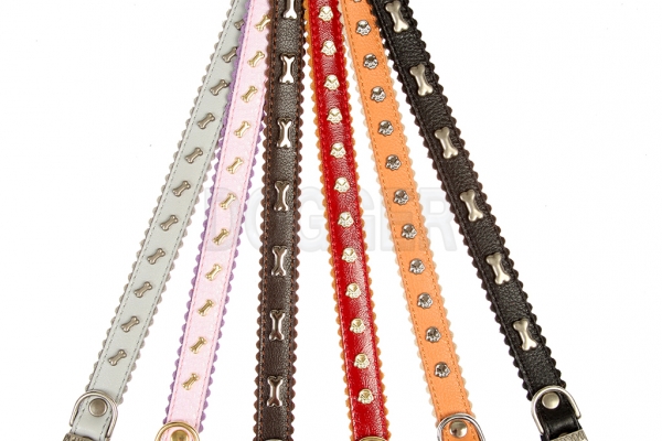 Collar 17 with accessories