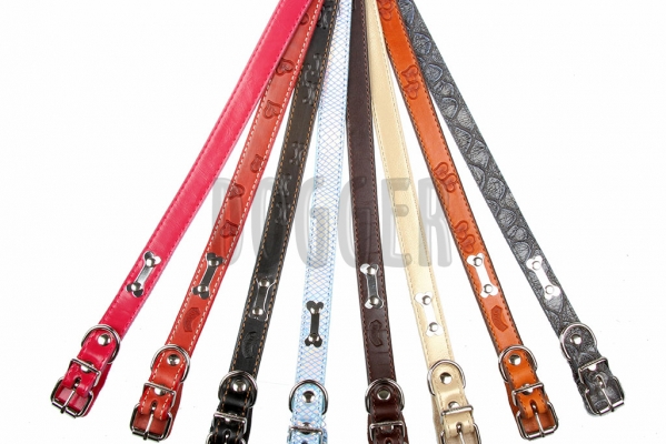 Collar 20 with name-plate colored