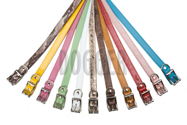 Collar 20 with name-plate colored 3-х сл.