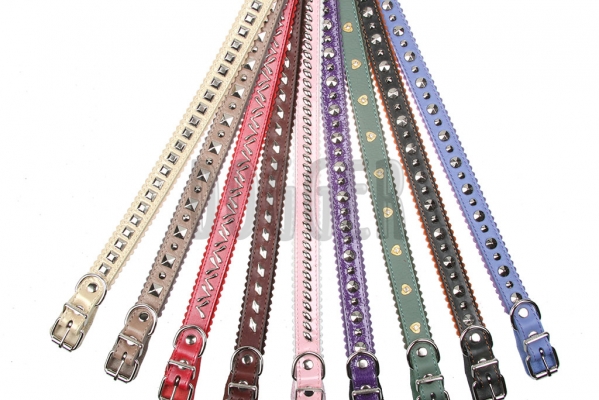 Collar 20 with accessories colored