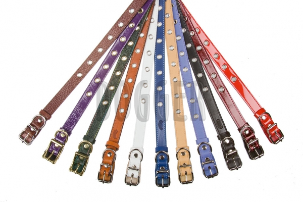 Collar 20 for puppy colored