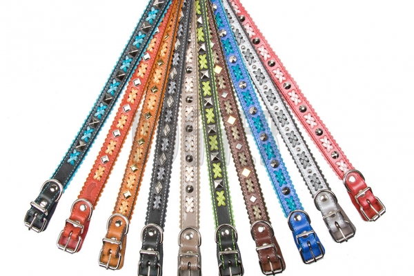Collar 20 braided with accessories                                            