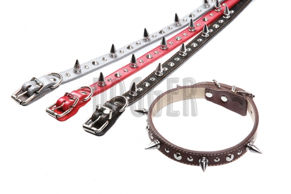 Collar 20 with accessories with thorn colored 