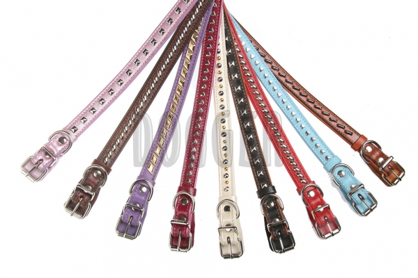 Collar 20 tucked with accessories colored