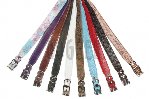 Collar 20 extended 