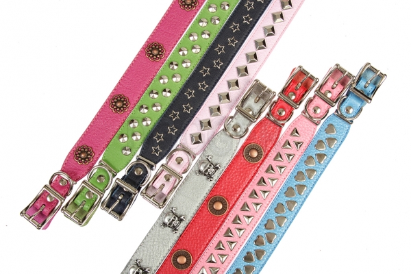 Collar 20 extended with accessories colored 