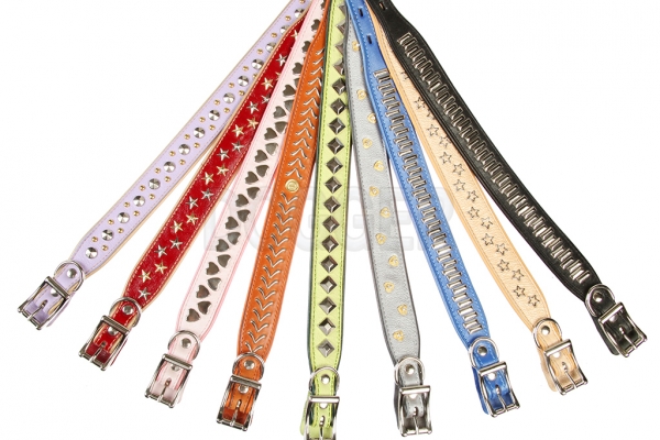 Collar 20 extended tucked with accessories