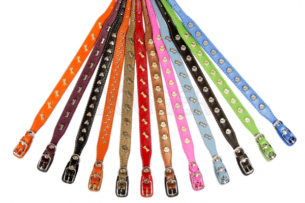 Collar 10 extended with accessories