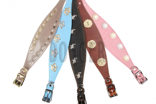 Collar 20 