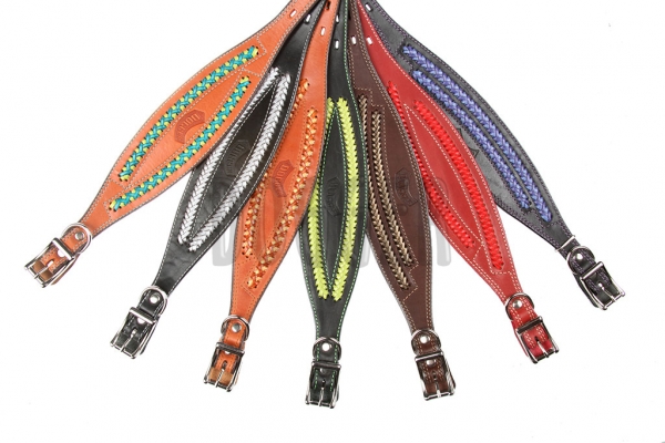 Collar 20 