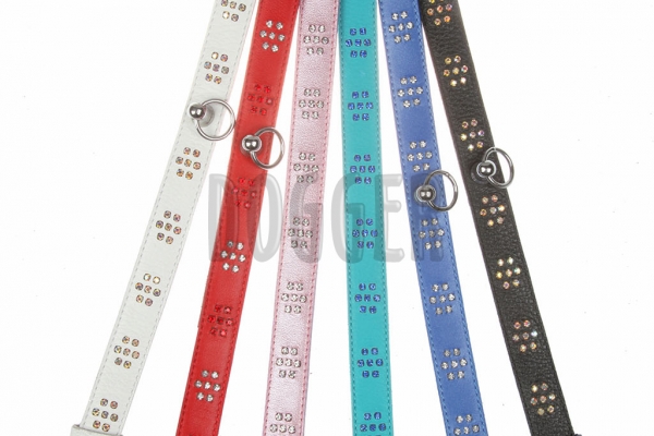 Collar 20 with rhinestones colored 