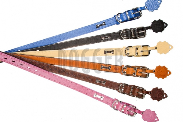 Collar 25 with name-plate colored