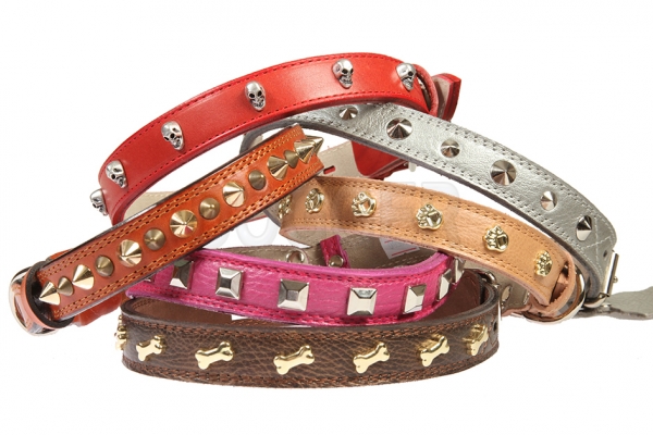 Collar 25 with accessories colored 