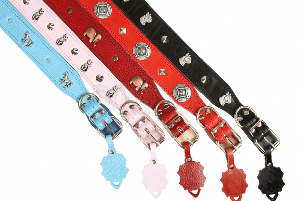 Collar 25 extended with accessories