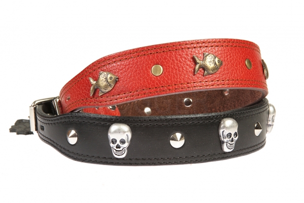 Collar 25 extended with accessories colored
