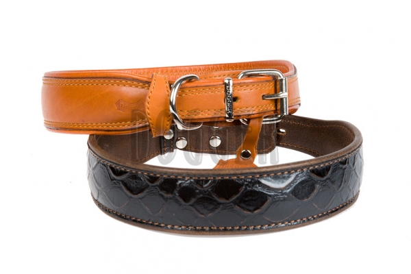 Collar 25 extended tucked