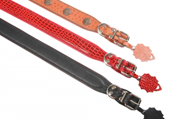 Collar 25 extended tucked colored