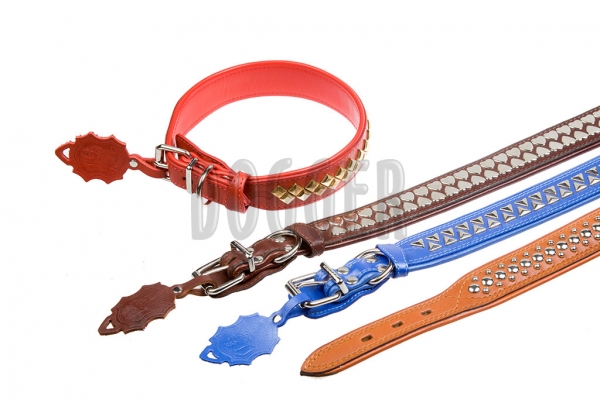 Collar 25 extended tucked with accessories