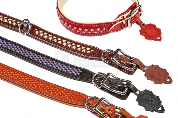Collar 25 extended tucked braided colored