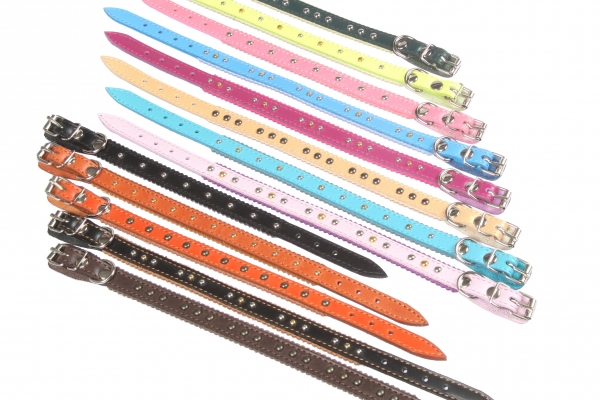 Collar 10 with accessories