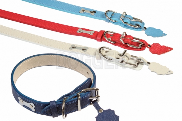 Collar 30 with name-plate colored