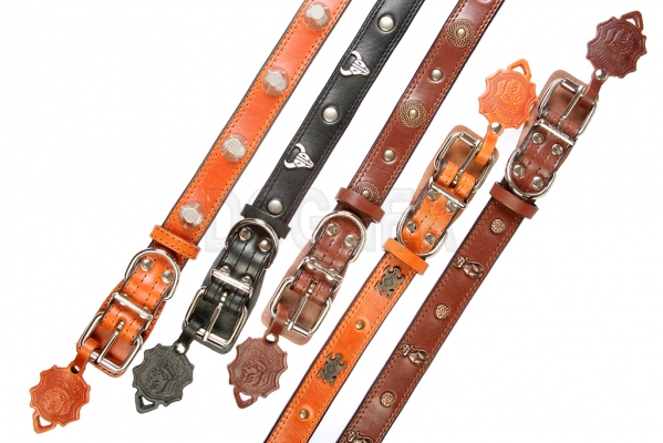 Collar 30 with accessories 
