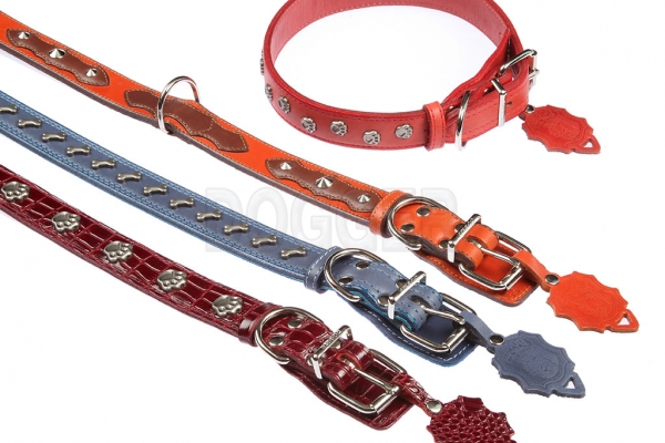 Collar 30 with accessories colored 
