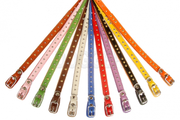 Collar 10 with accessories colored