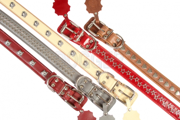 Collar 30 tucked with accessories colored