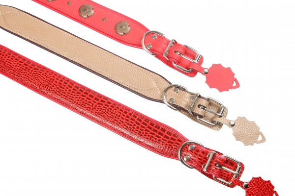 Collar 30 extended tucked colored