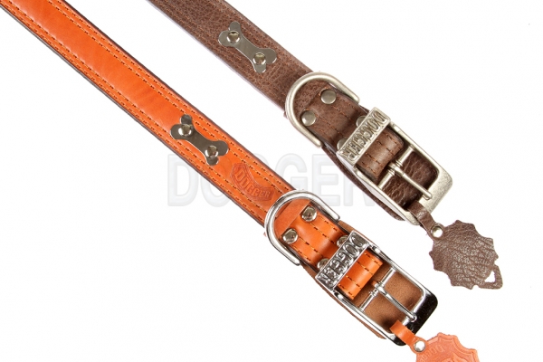 Collar 35 with name-plate 
