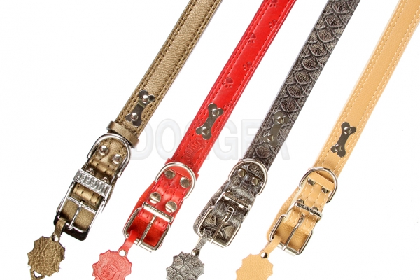 Collar 35 with name-plate colored 