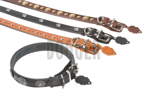 Collar 35 with accessories 