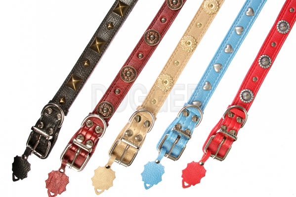 Collar 35 with accessories colored 