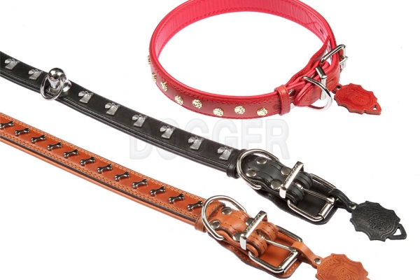 Collar 35 tucked with accessories colored