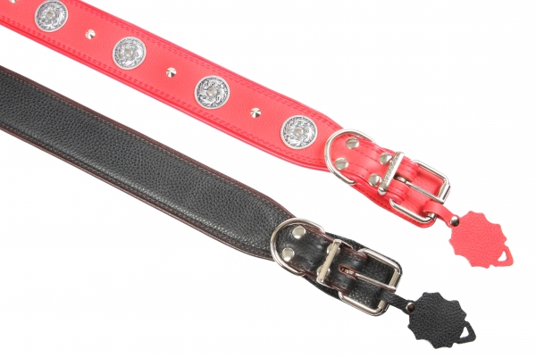 Collar 35 extended tucked with accessories colored