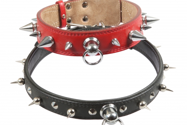 Collar 35 tucked with thorn