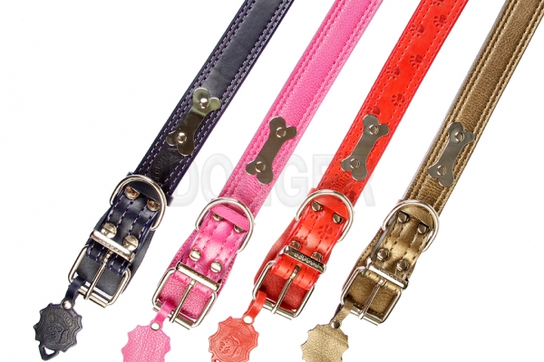 Collar 40 with name-plate colored 