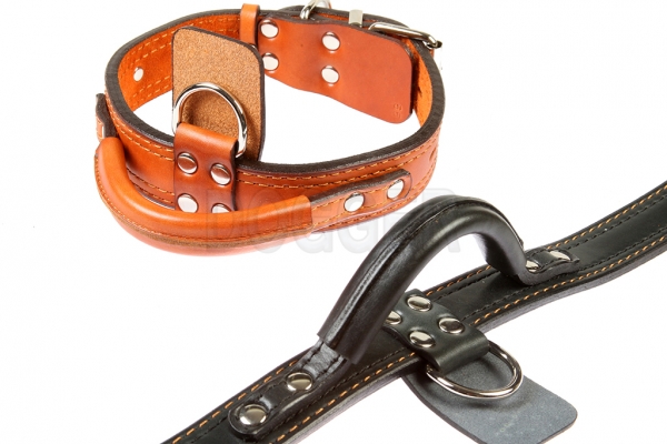 Collar 40 with name-plate + handle