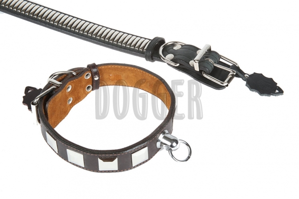 Collar 40 with accessories 