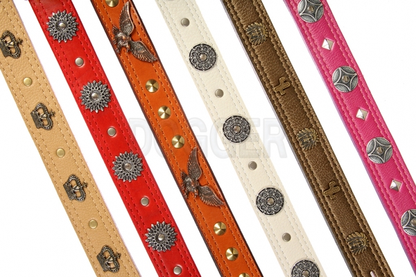Collar 40 with accessories colored
