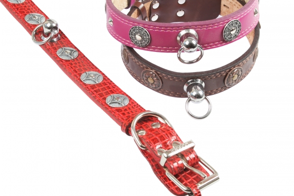 Collar 40 with accessories colored