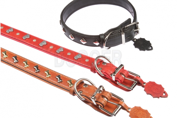 Collar 40 tucked with accessories