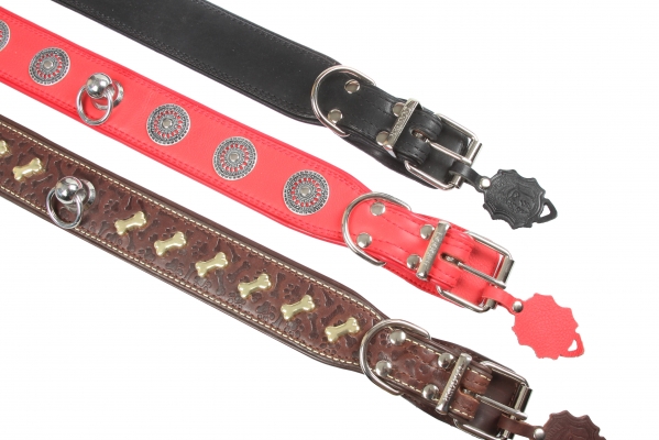 Collar 40 extended tucked