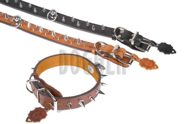 Collar 40 with thorn