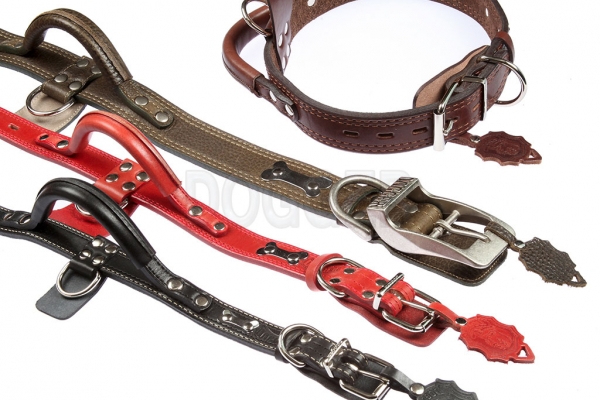 Collar 45 with name-plate + handle