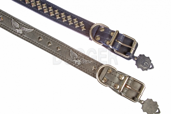Collar 45 with accessories colored 